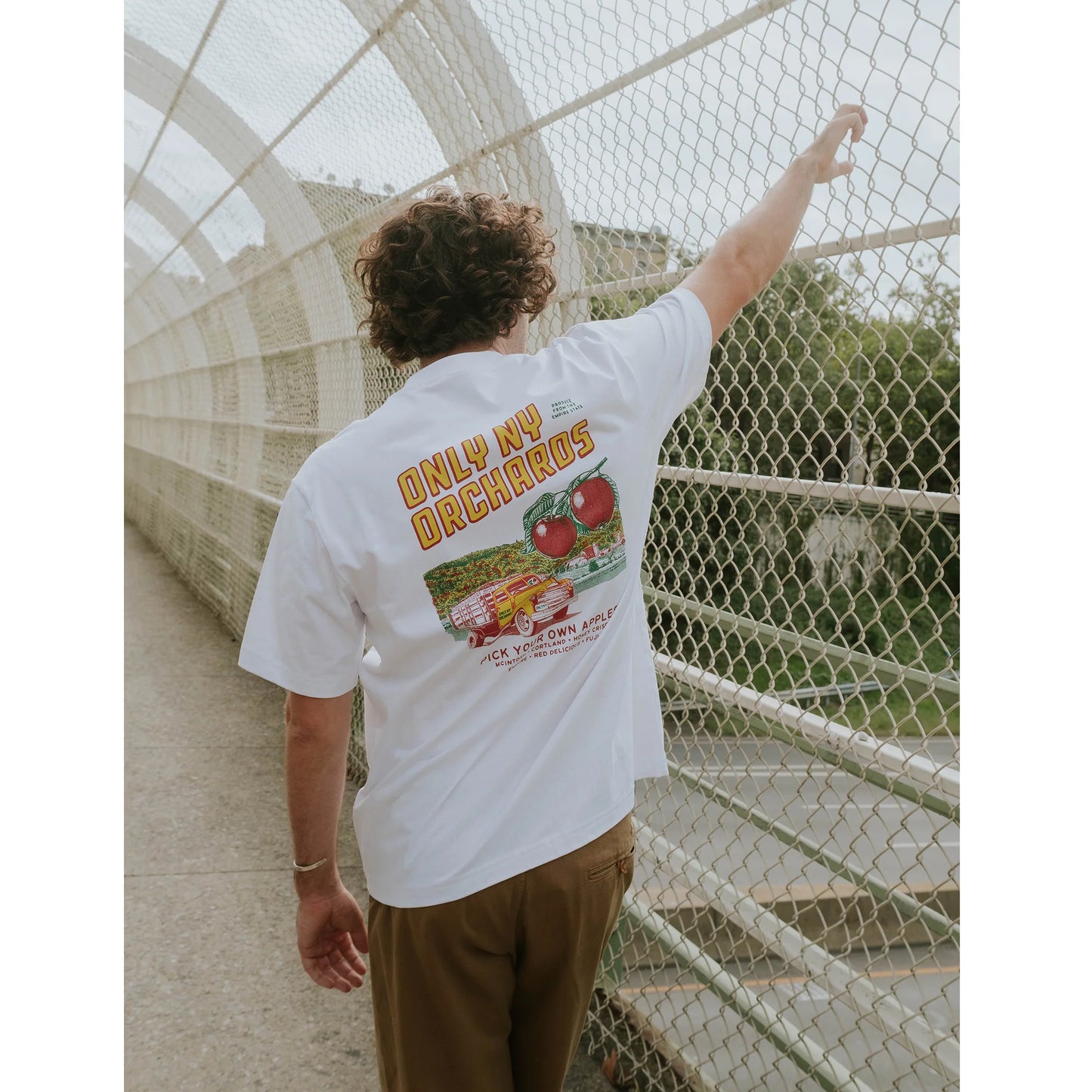 OnlyNY Mens Orchard Tee Shirt- Chocolate