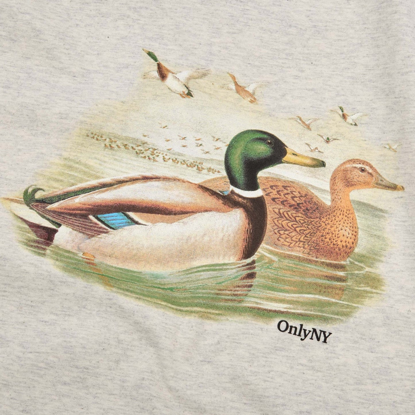 OnlyNY Painted Mallard Tshirt- Oatmeal Heather