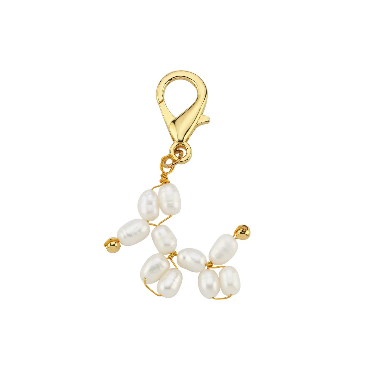 Maison Irem Shoe Doggy Charm