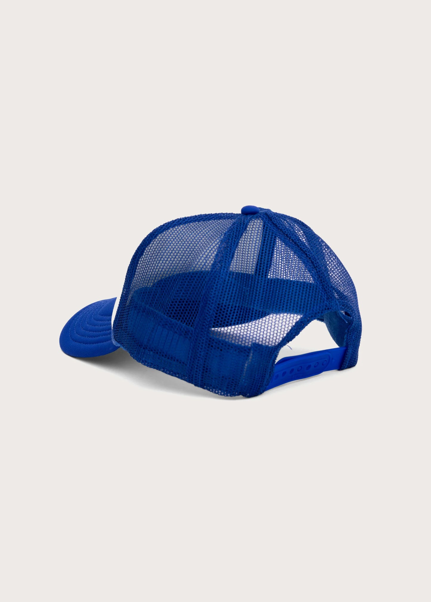 ONE OF THESE DAYS LOST HIGHWAY TRUCKER