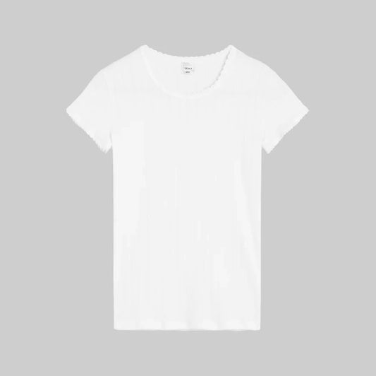 LESET POINTELLE SLIM FIT TEE- White