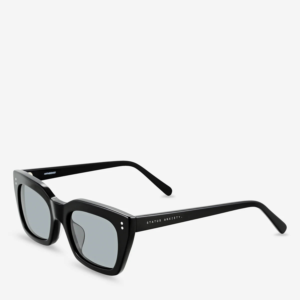 Status Anxiety Antagonist Sunglasses - Black