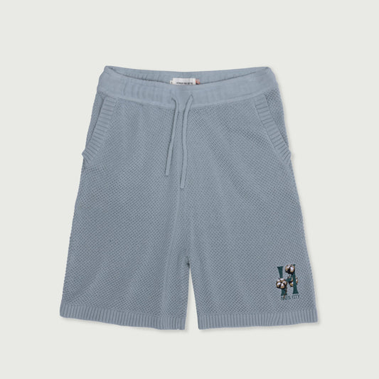 Honor The Gift Knit Shorts Slate